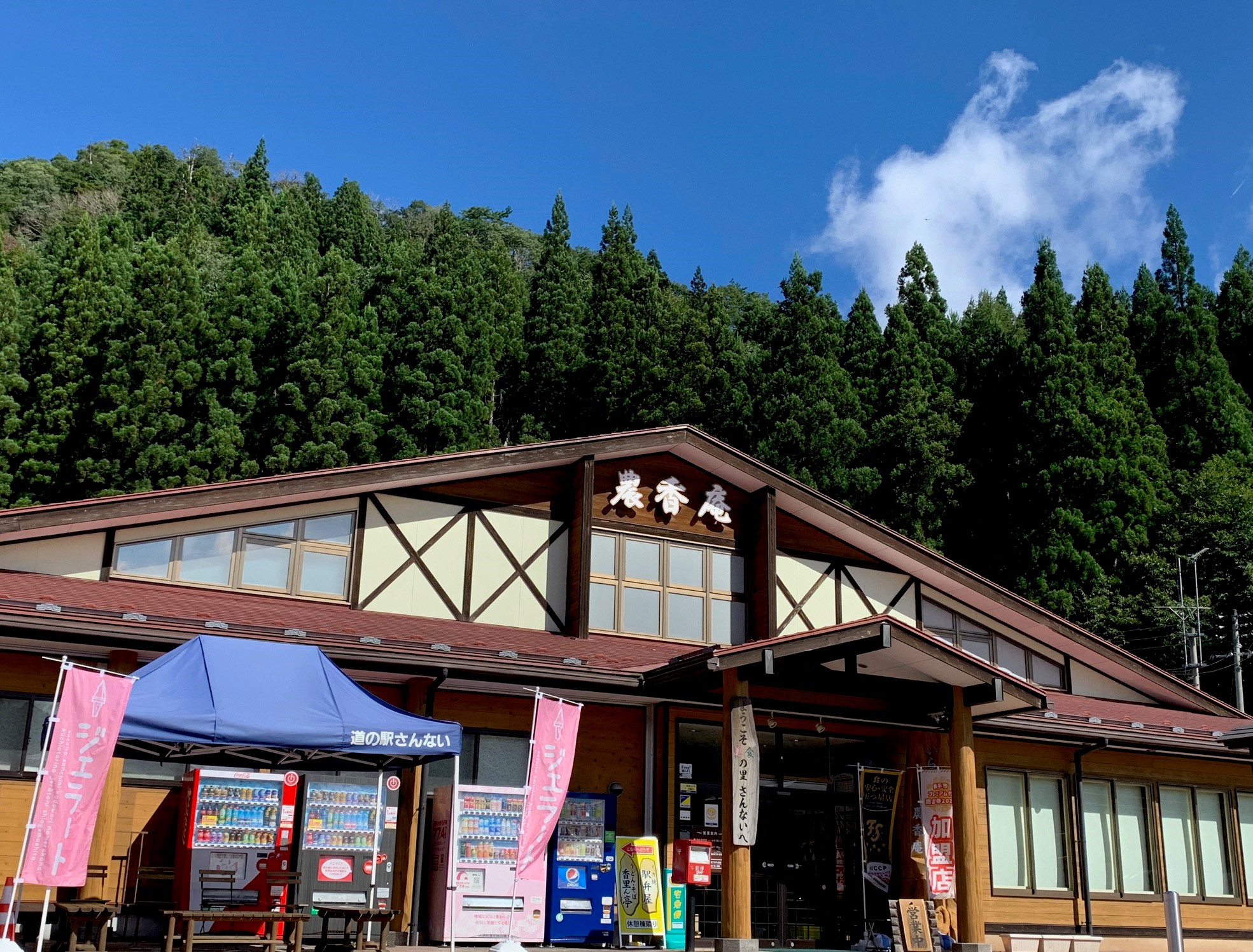 公の場での発言・インタビュー報道記録
